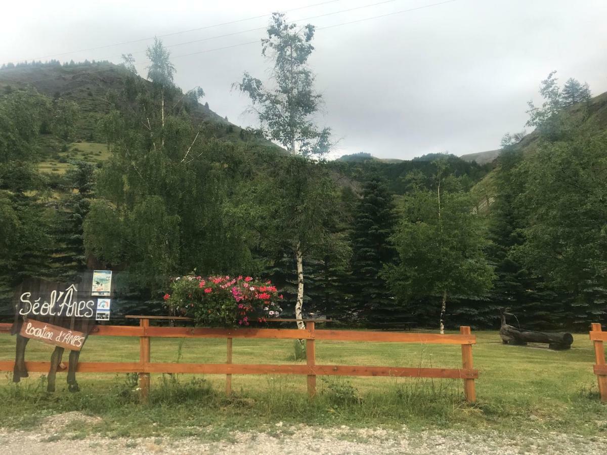 Studio Chaleureux A La Foux D'Allos Kültér fotó